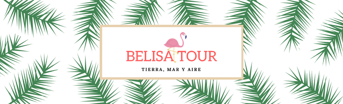 Cabecera Logo Belisa